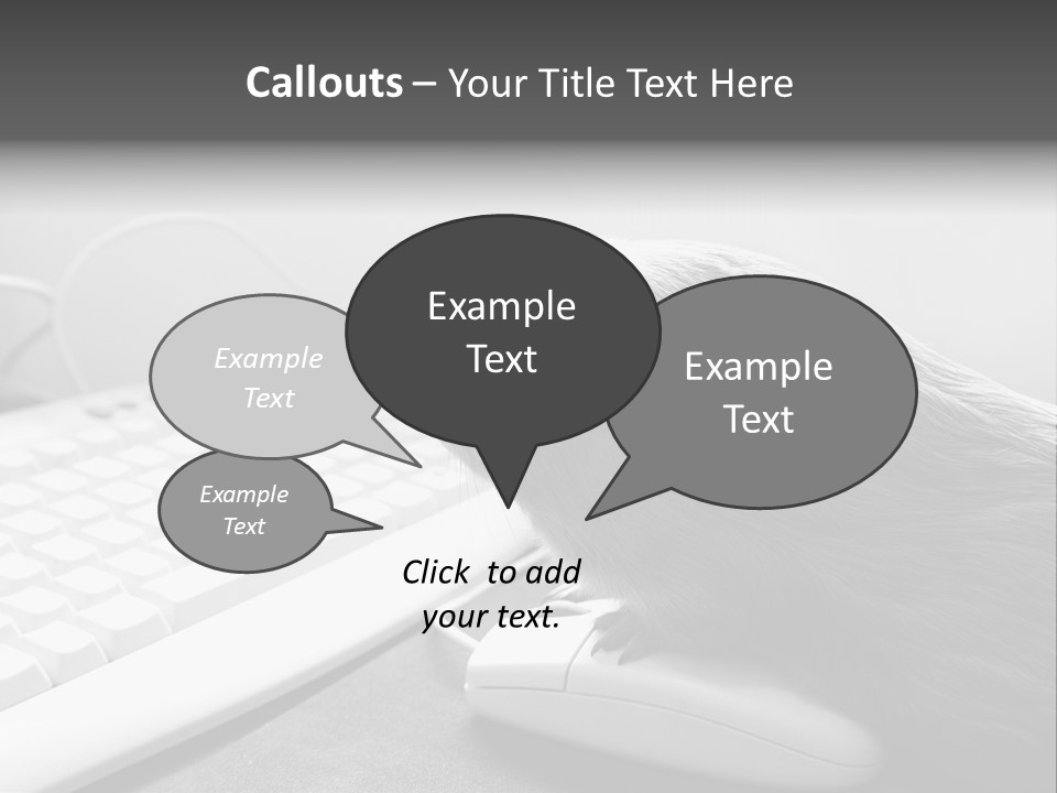 Guinea Pig Keyboard PowerPoint Template