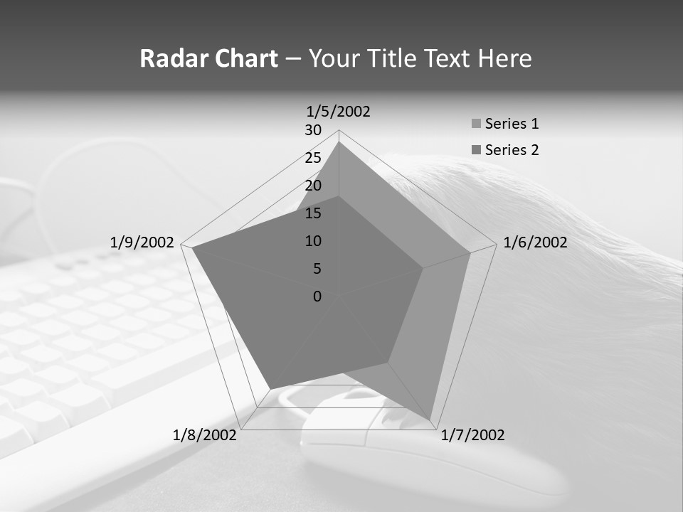 Guinea Pig Keyboard PowerPoint Template