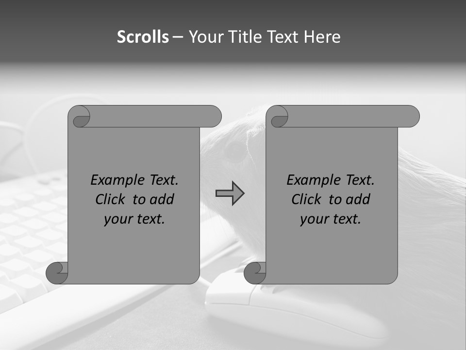 Guinea Pig Keyboard PowerPoint Template