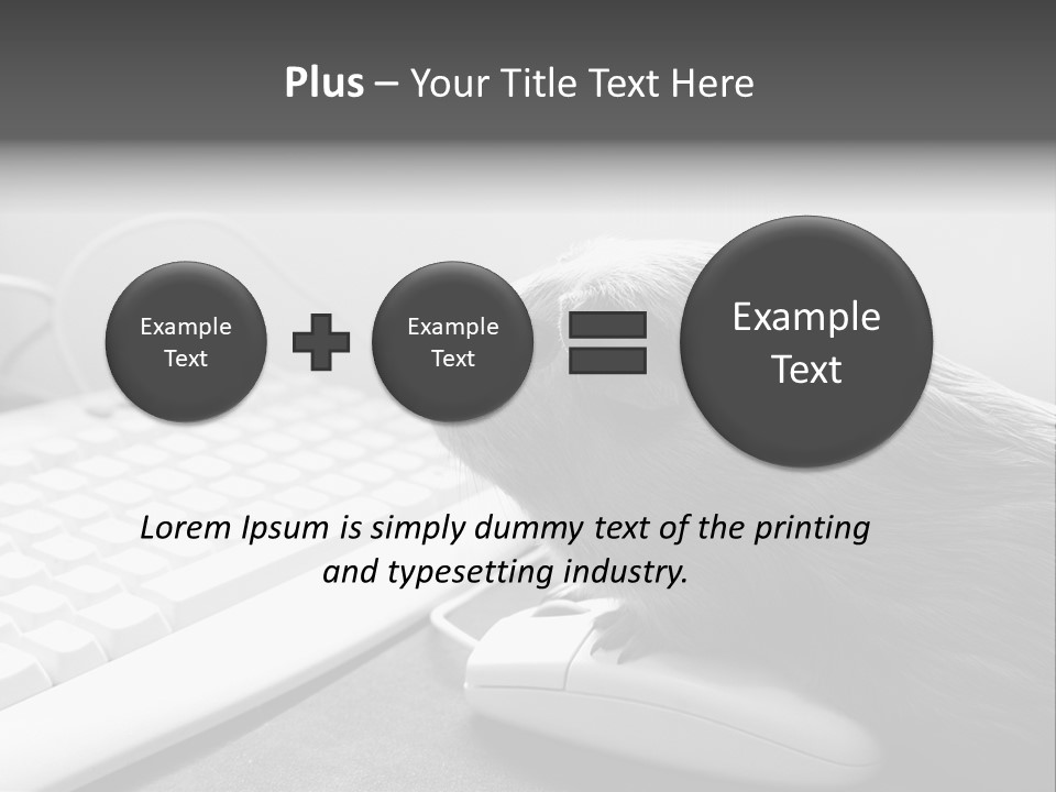 Guinea Pig Keyboard PowerPoint Template