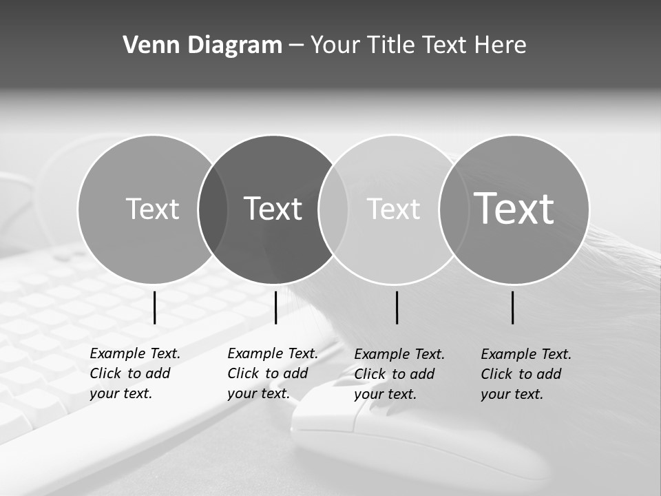 Guinea Pig Keyboard PowerPoint Template