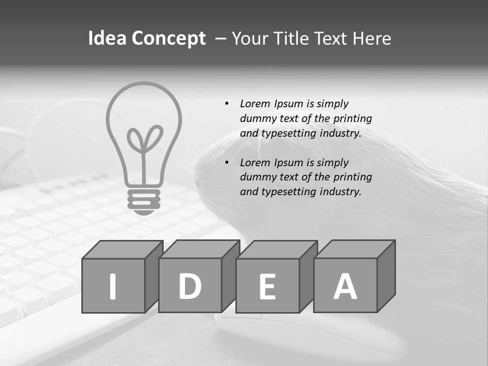 Guinea Pig Keyboard PowerPoint Template