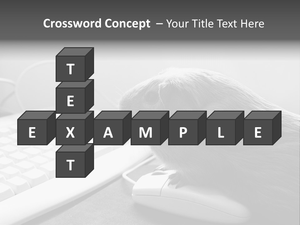 Guinea Pig Keyboard PowerPoint Template