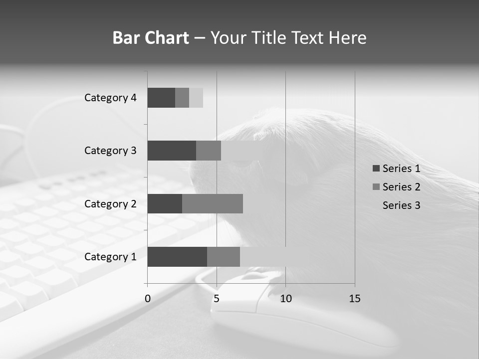 Guinea Pig Keyboard PowerPoint Template