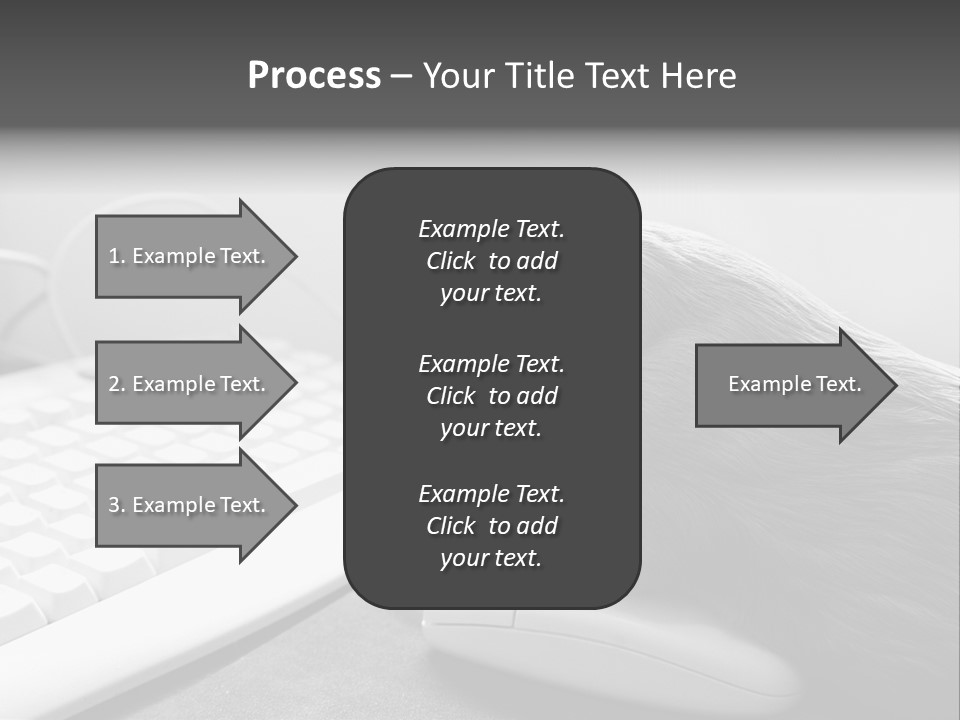 Guinea Pig Keyboard PowerPoint Template