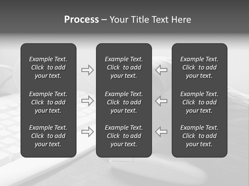 Guinea Pig Keyboard PowerPoint Template