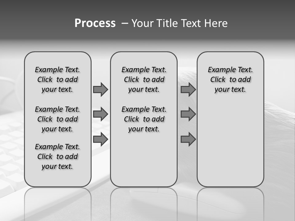 Guinea Pig Keyboard PowerPoint Template