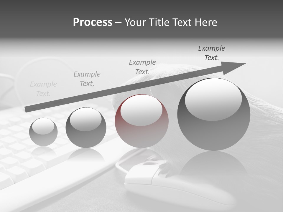 Guinea Pig Keyboard PowerPoint Template