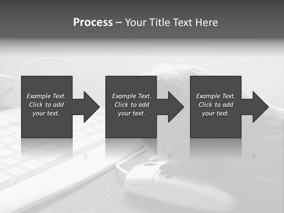 Guinea Pig Keyboard PowerPoint Template