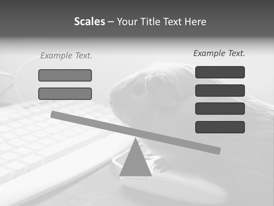 Guinea Pig Keyboard PowerPoint Template