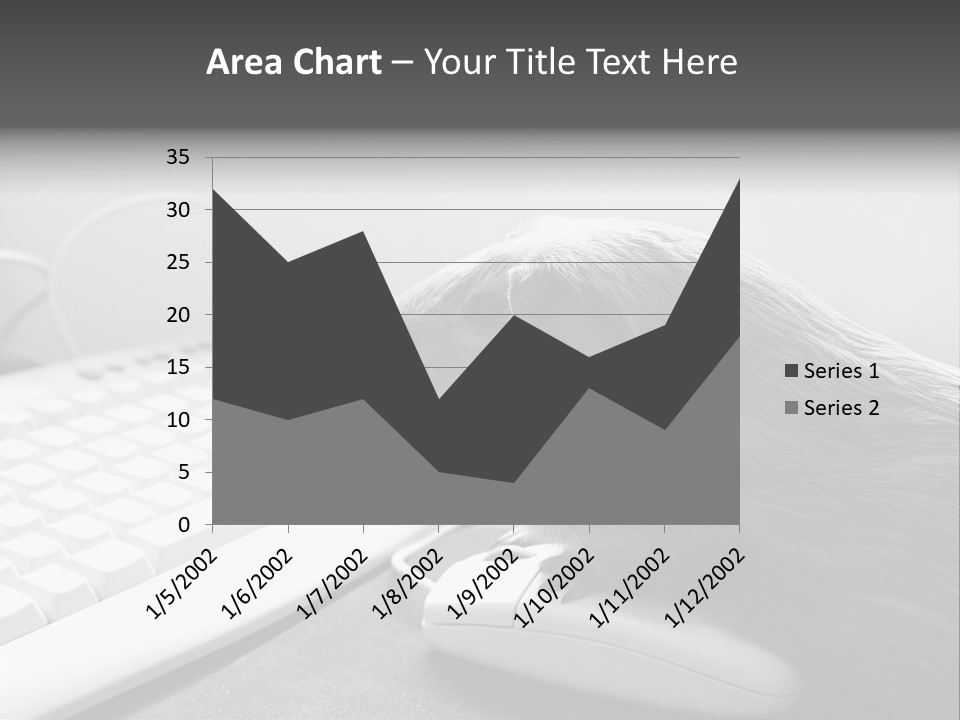 Guinea Pig Keyboard PowerPoint Template