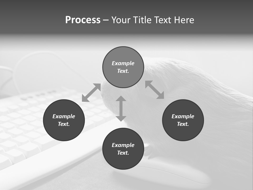 Guinea Pig Keyboard PowerPoint Template