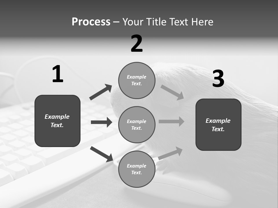 Guinea Pig Keyboard PowerPoint Template