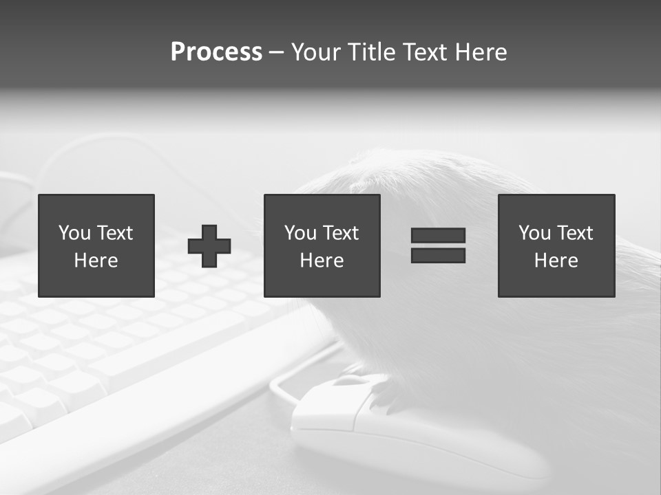 Guinea Pig Keyboard PowerPoint Template