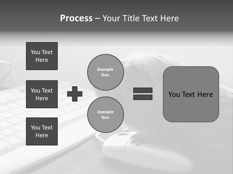 Guinea Pig Keyboard PowerPoint Template