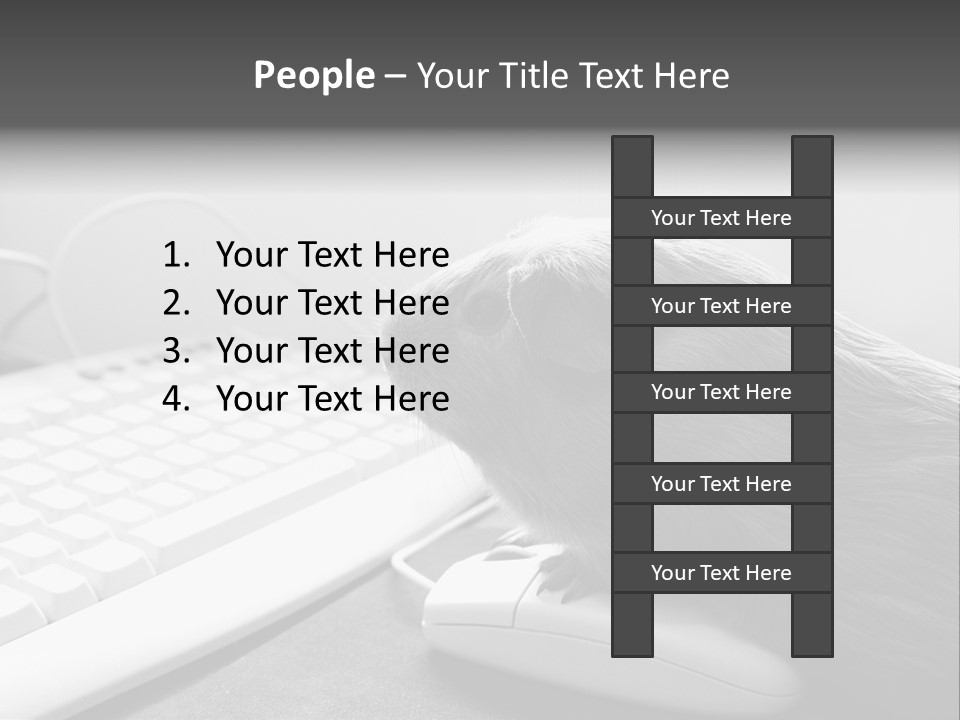 Guinea Pig Keyboard PowerPoint Template