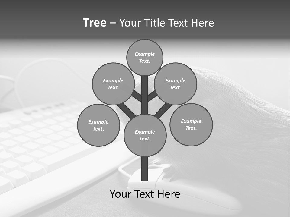 Guinea Pig Keyboard PowerPoint Template