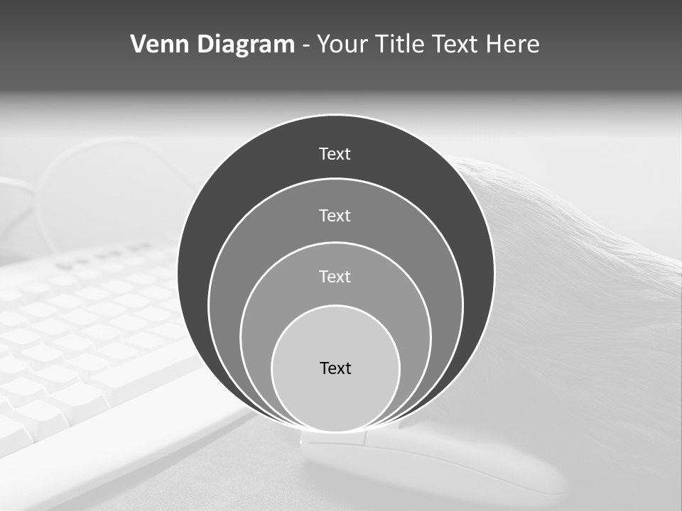Guinea Pig Keyboard PowerPoint Template