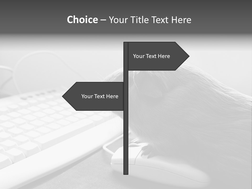 Guinea Pig Keyboard PowerPoint Template