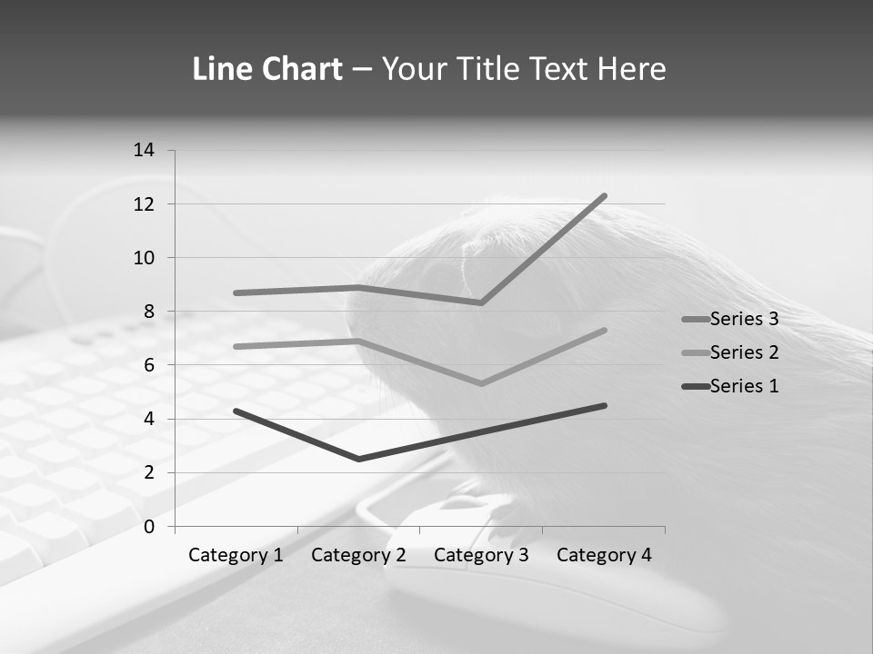 Guinea Pig Keyboard PowerPoint Template