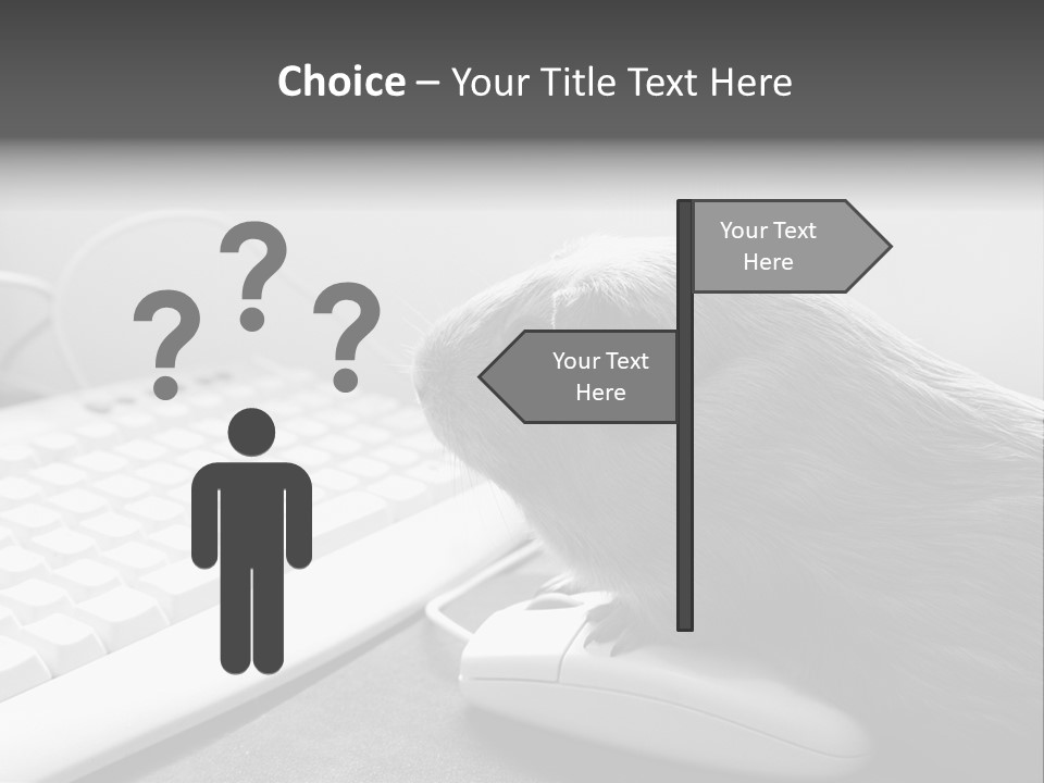 Guinea Pig Keyboard PowerPoint Template