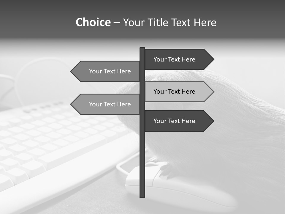 Guinea Pig Keyboard PowerPoint Template