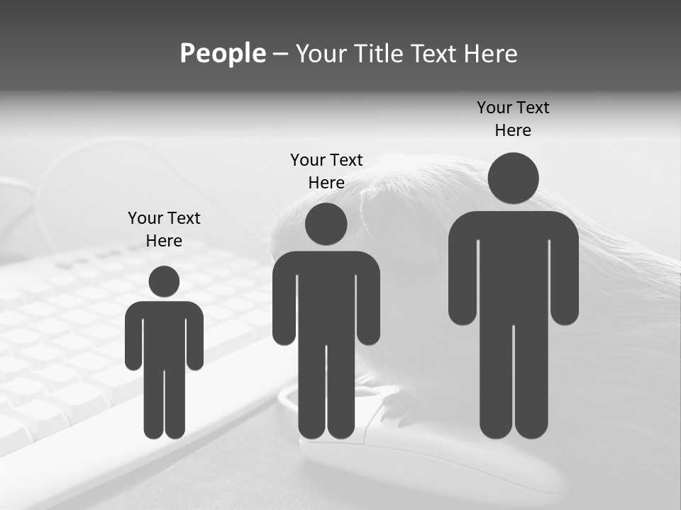 Guinea Pig Keyboard PowerPoint Template