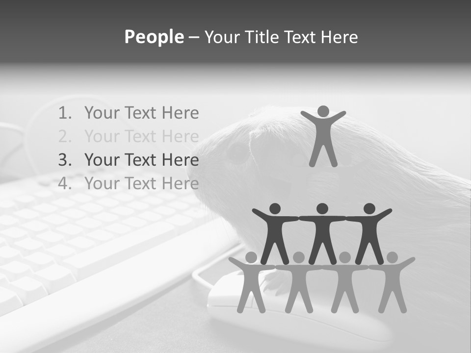 Guinea Pig Keyboard PowerPoint Template