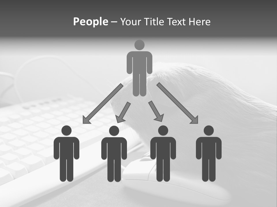 Guinea Pig Keyboard PowerPoint Template