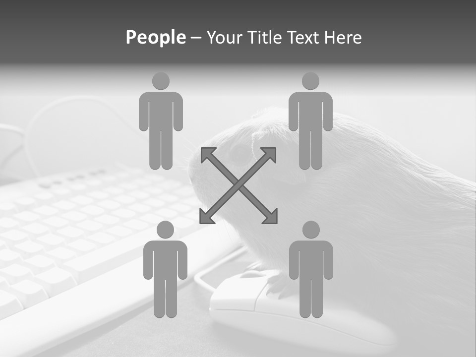 Guinea Pig Keyboard PowerPoint Template