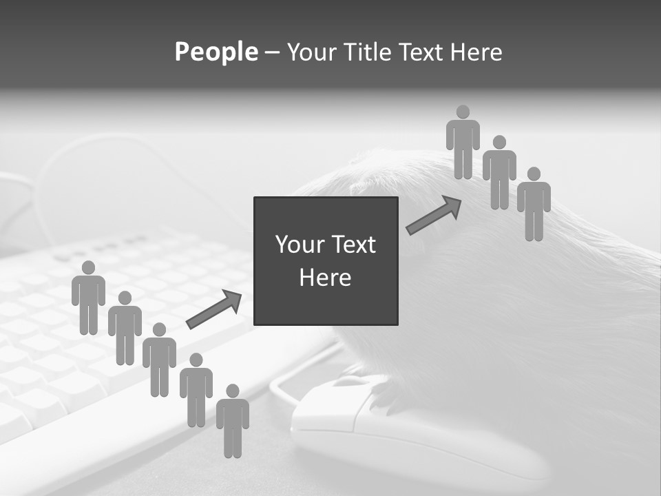 Guinea Pig Keyboard PowerPoint Template