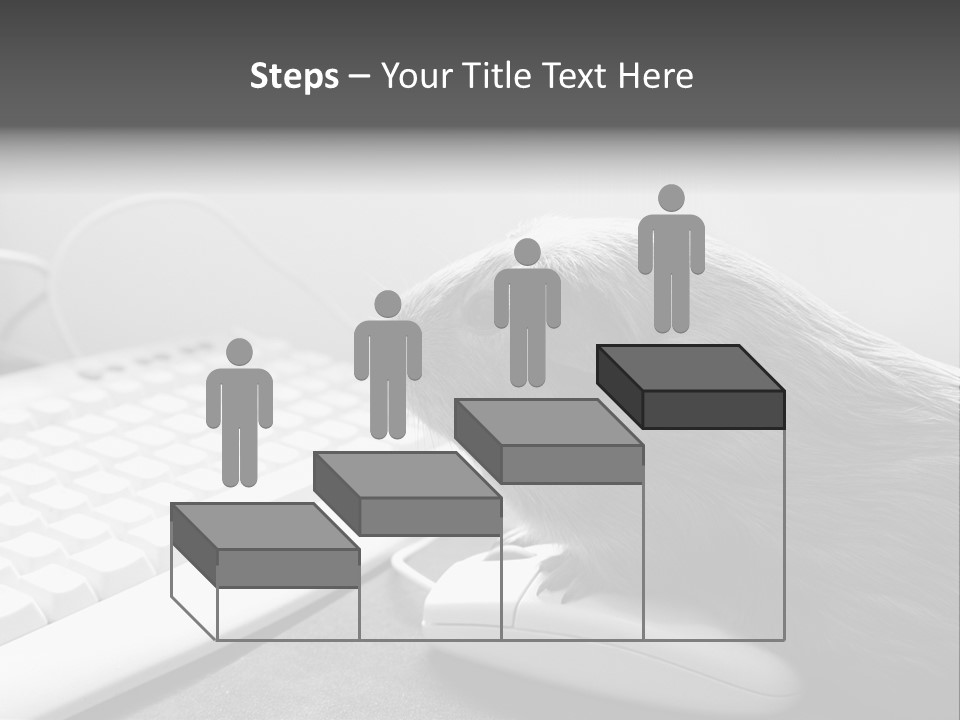 Guinea Pig Keyboard PowerPoint Template