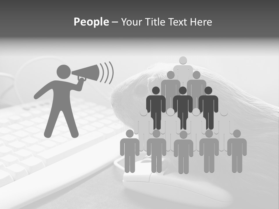 Guinea Pig Keyboard PowerPoint Template