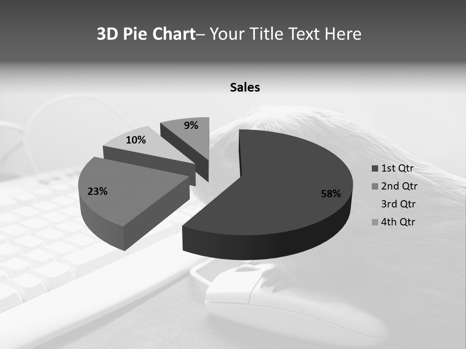 Guinea Pig Keyboard PowerPoint Template