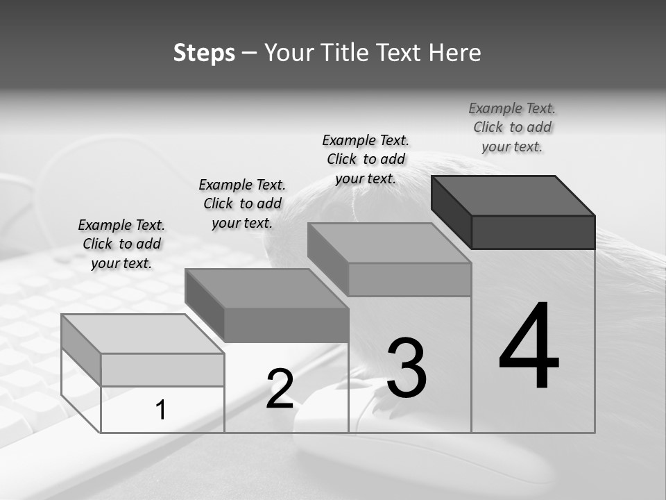 Guinea Pig Keyboard PowerPoint Template