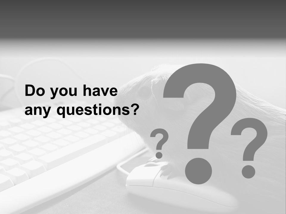 Guinea Pig Keyboard PowerPoint Template