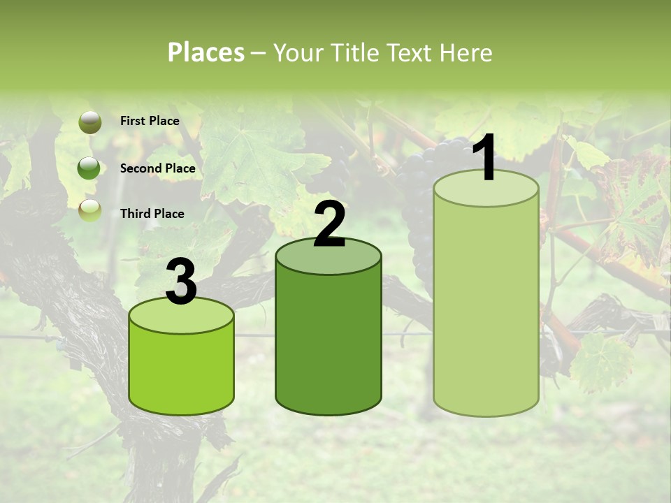 Branch Plant Healthy PowerPoint Template