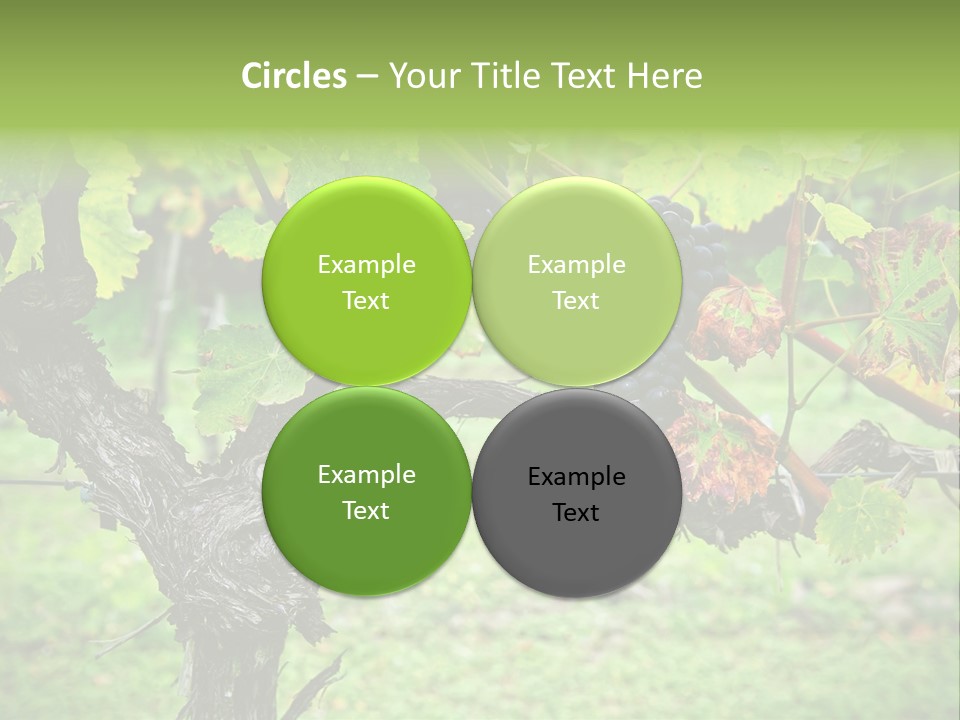 Branch Plant Healthy PowerPoint Template