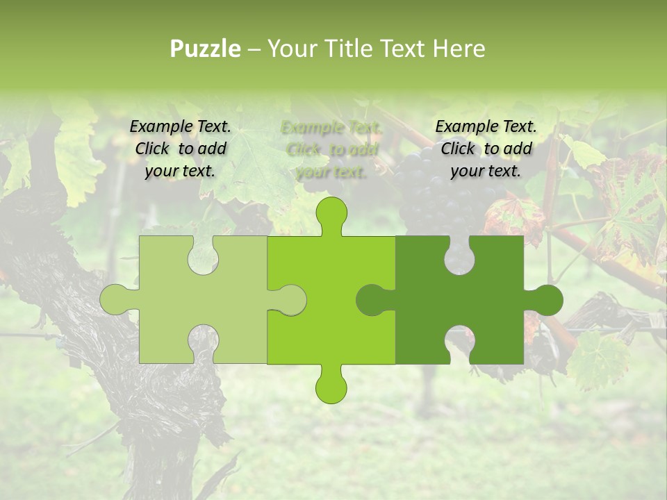 Branch Plant Healthy PowerPoint Template