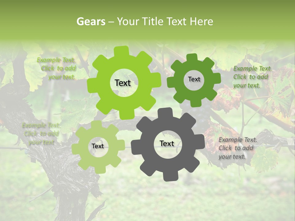 Branch Plant Healthy PowerPoint Template