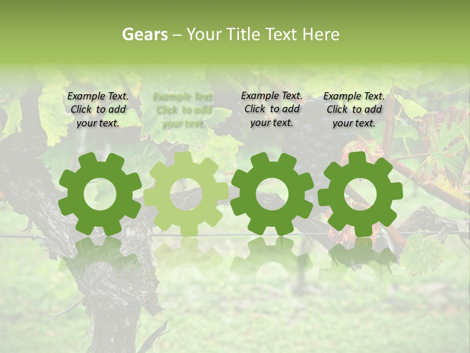 Branch Plant Healthy PowerPoint Template