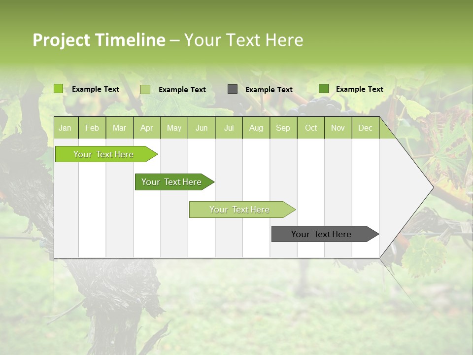 Branch Plant Healthy PowerPoint Template