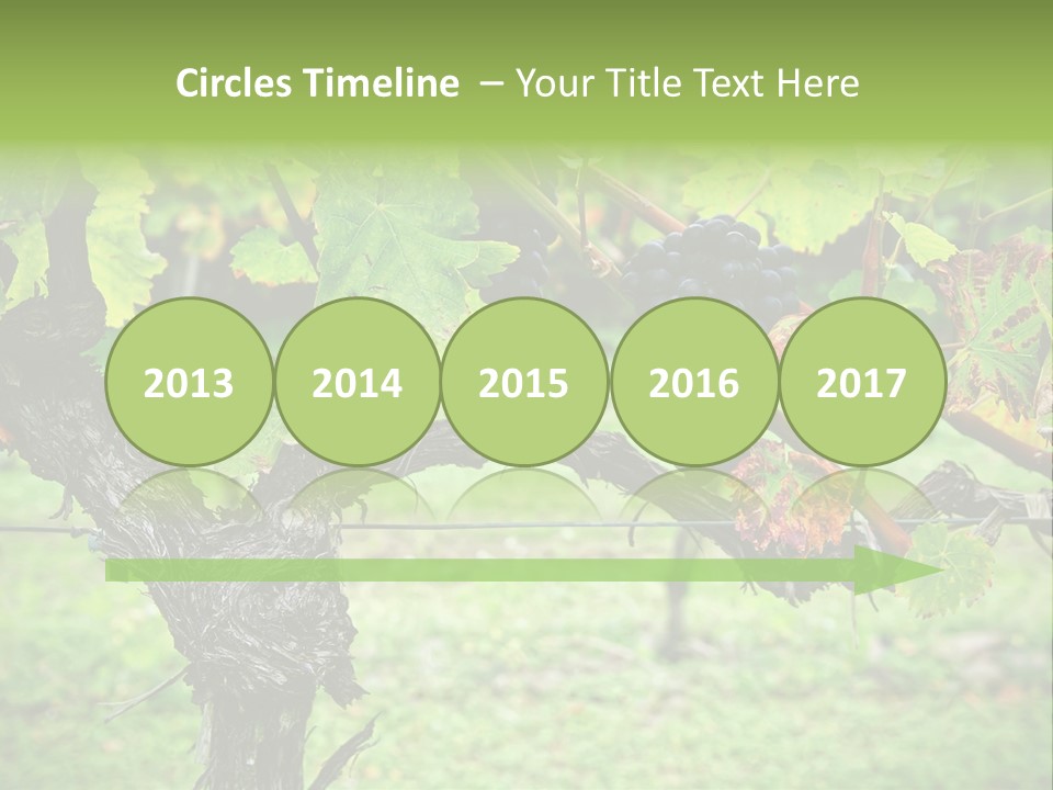 Branch Plant Healthy PowerPoint Template