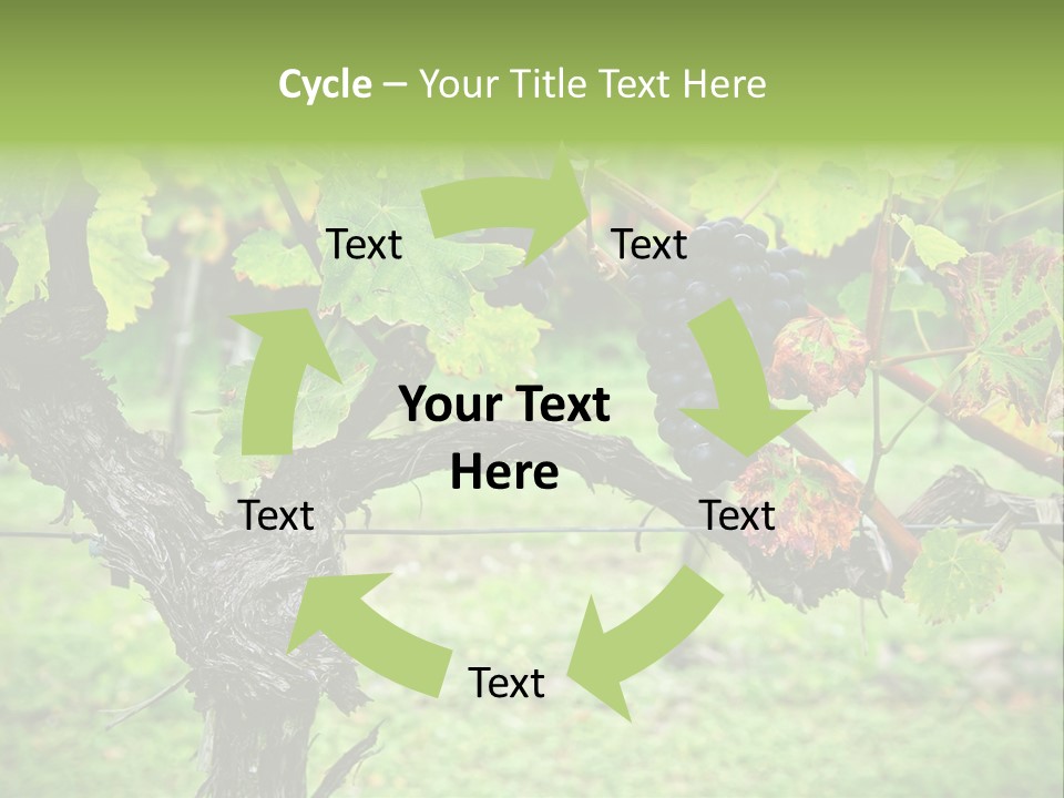 Branch Plant Healthy PowerPoint Template