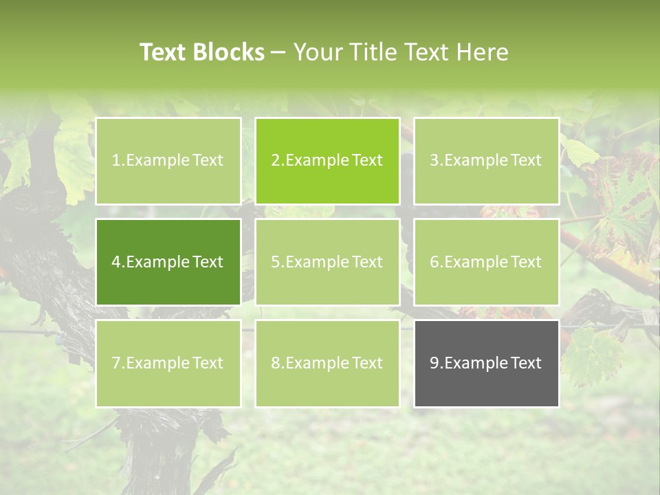 Branch Plant Healthy PowerPoint Template
