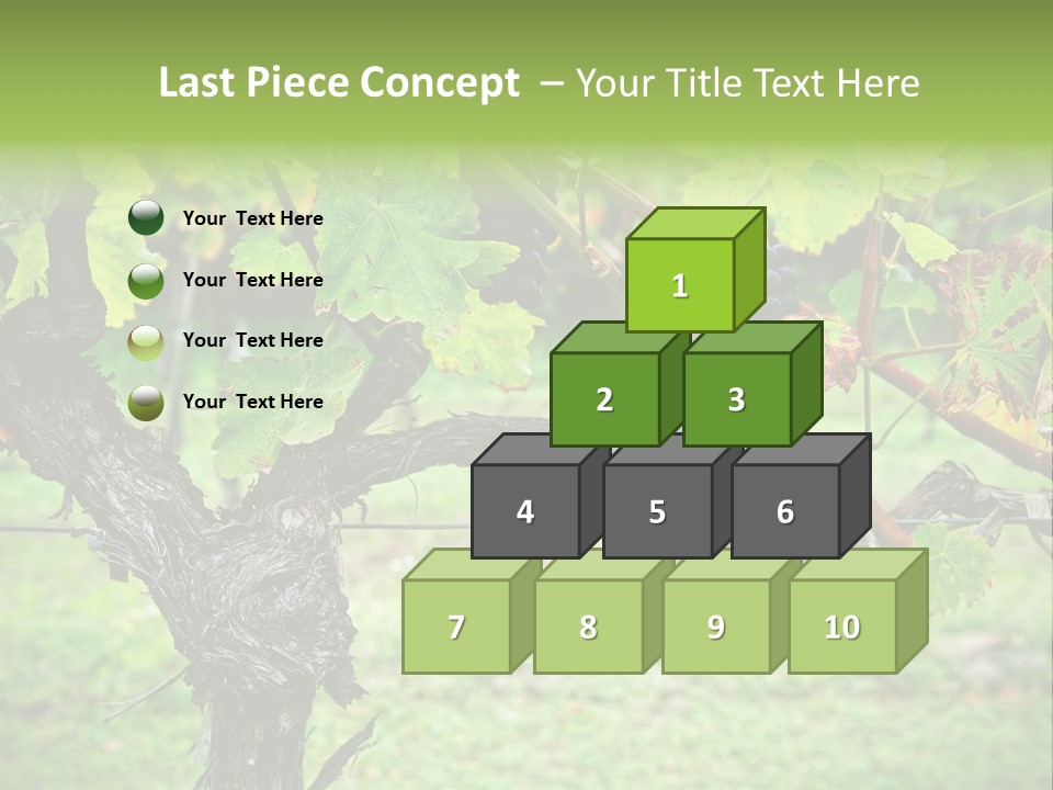 Branch Plant Healthy PowerPoint Template