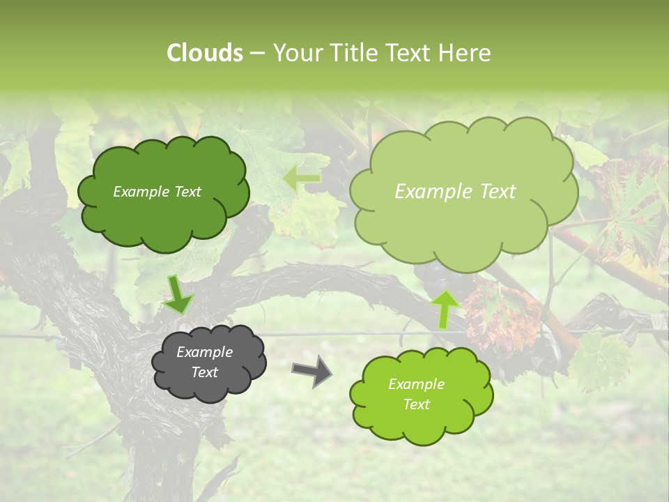 Branch Plant Healthy PowerPoint Template
