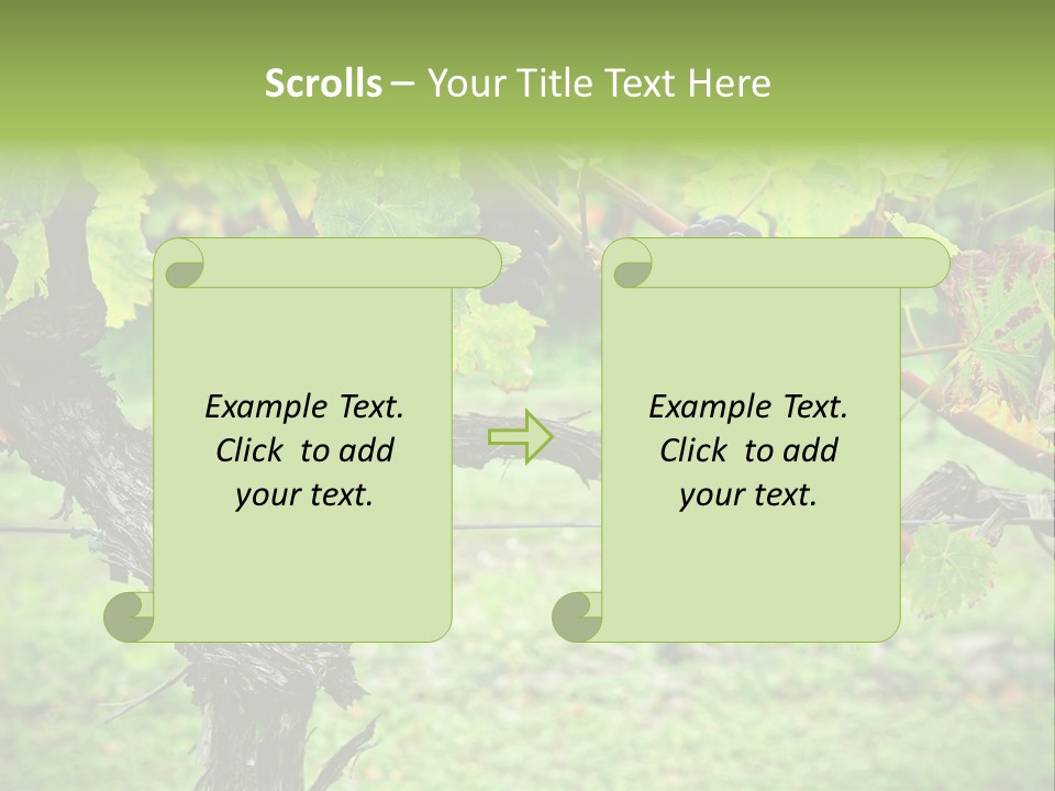 Branch Plant Healthy PowerPoint Template