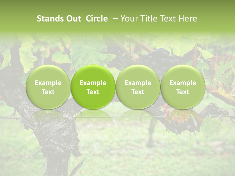 Branch Plant Healthy PowerPoint Template