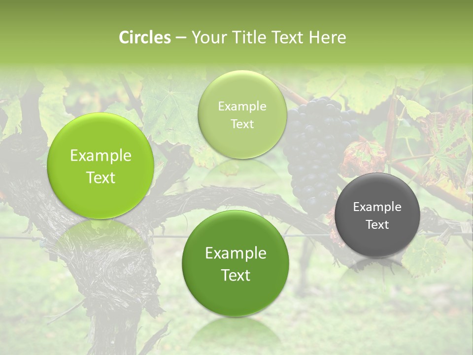 Branch Plant Healthy PowerPoint Template